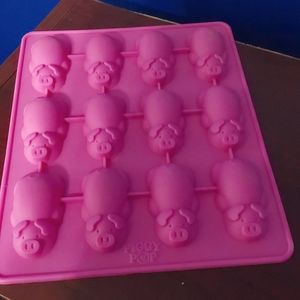 Pig shaped mold